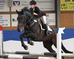 Zwei Tage vor ihrem 13. Geburtstag holte sich Christin Wascher zwei Schleifen mit Carissima-W  (Foto) und eine mit Pony Nadin G. Foto: Wego